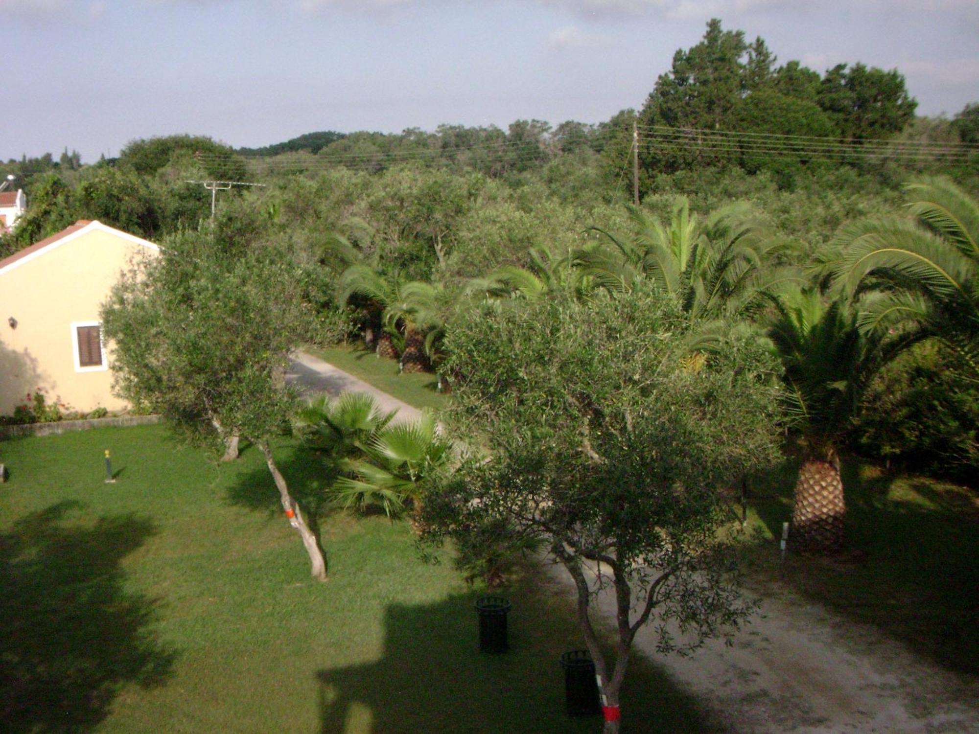 Irini Apartments And Studios Kávos Zewnętrze zdjęcie