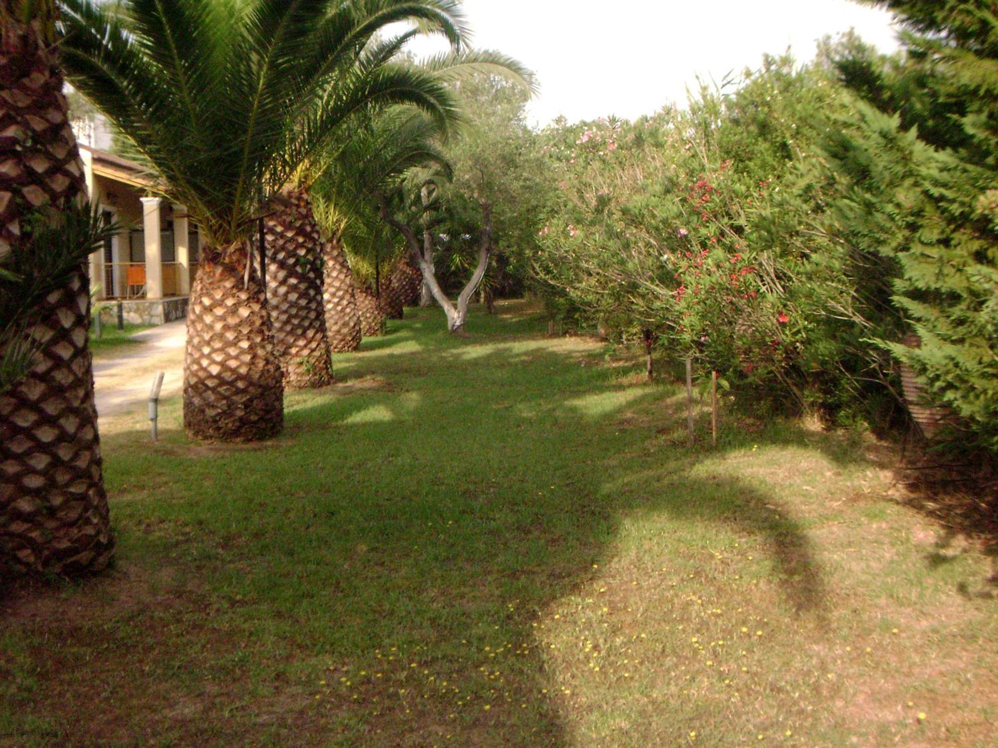 Irini Apartments And Studios Kávos Zewnętrze zdjęcie